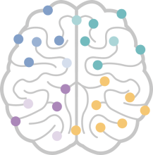 brain
